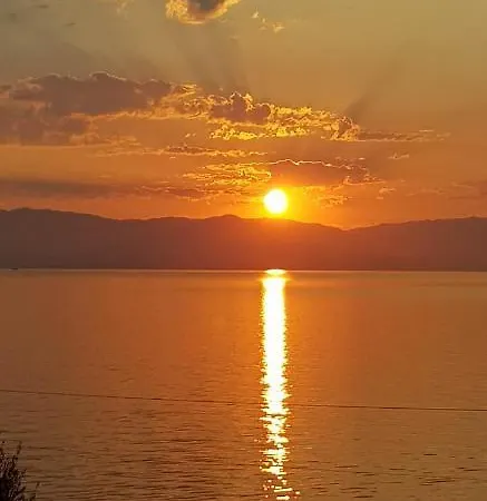 Amaranth Rose Apartment