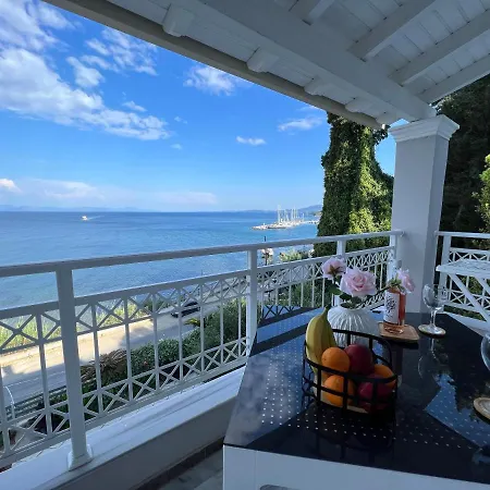 Apartment Amaranth Rose