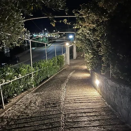 Apartment Amaranth Rose